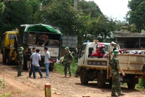 Diễn biến phức tạp vụ lâm tặc cướp lại gỗ lậu