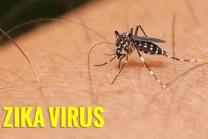 Thêm 1 bệnh nhi nhiễm virus Zika