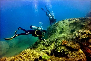 1,5 triệu m3 chất thải đổ sát khu bảo tồn biển?