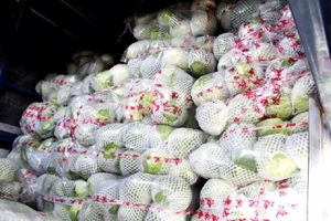 Bắt xe tải chở 3 tấn rau củ lậu từ Trung Quốc