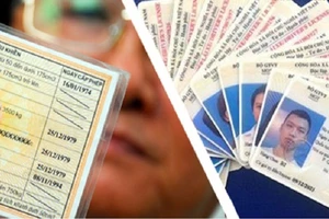 ‘Tuýt còi’ quy định yêu cầu chuyển đổi giấy phép lái xe