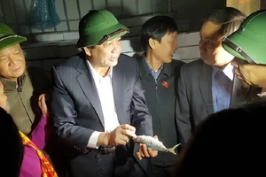 Quảng Bình đã tiêu hủy hết cá nhiễm độc trong kho