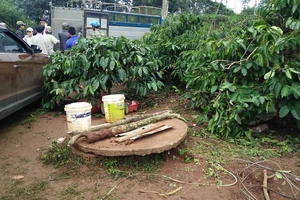 Cứu con rơi xuống giếng, cả hai mẹ con cùng tử vong