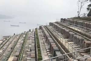 Ai giữ mộ phần?