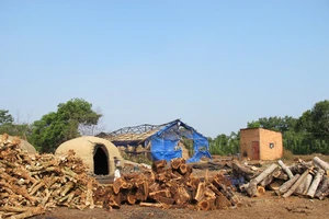 Sống gần lò than ngày đêm hít khói