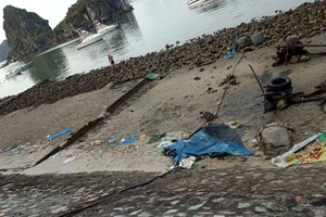 Tức mắt với váng dầu và rác thải ven vịnh Hạ Long