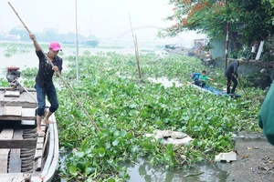 Chích điện cá phóng sinh ngay sát vách chùa