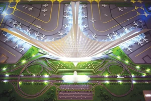 Nguyên nhân đất Long Thành hoá vàng