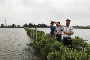 Dân đòi bồi thường đất, chính quyền nói không đủ điều kiện