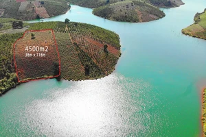 Tư vấn bất động sản thời COVID-19: Làm gì để qua ải?