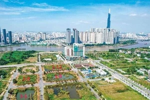 Giám đốc Sở TN&MT nói về việc 2 doanh nghiệp trúng đấu giá chưa nộp tiền 