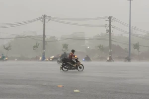 Mưa lớn làm dịu mát nhiều quận, huyện ở TP.HCM