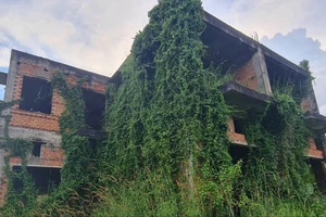 Những biệt thự khủng bỏ hoang, cây mọc phủ kín ở Đồng Nai
