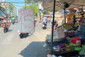 Bất ngờ trứng gà giá chỉ 15.000 đồng/chục