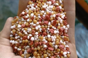 Việt Nam nhập khẩu phân bón Trung Quốc nhiều nhất 