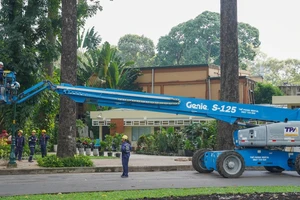 TP.HCM: Mạnh dạn thay thế cây xanh già cỗi để giảm rủi ro 