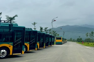 Miễn phí vé 17 tuyến xe buýt kết nối metro số 1