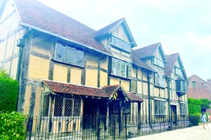 Gã khờ ở đầu đường nhà Shakespeare