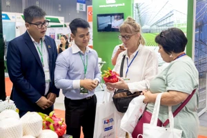 Doanh nhân Việt tự tin giới thiệu sản phẩm, chinh phục đối tác và thị trường quốc tế. Ảnh: QH