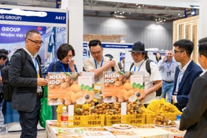 Các doanh nghiệp tham gia Hội chợ hàng Việt Nam tiêu biểu xuất khẩu 2025. Ảnh: QH