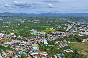 Lâm Đồng kiến nghị nhiều nội dung quan trọng khơi thông nguồn lực đất đai