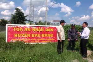 Hoãn xử vụ 'Tòa bất ngờ bắt tạm giam'