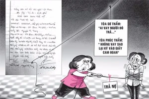 Đình chỉ vụ án con vay tiền mẹ phải liên đới trả 