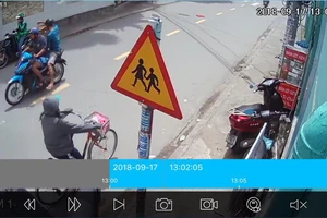 Ai đã lấy trộm con chim chào mào của chủ quán cà phê?