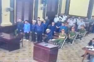 Đề nghị xem xét trách nhiệm thanh tra 10 năm không ra sai phạm