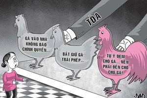 Thẩm phán và Kiểm sát viên 'luận' về vụ 3 con gà đi lạc