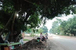 Giám đốc Công an Tây Ninh nói về vụ bà mót mì ngã chết