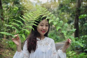 Vụ nữ tiếp viên hàng không bị xe Mercedes tông: Vướng mắc xác minh quyền sở hữu tài sản 