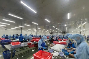 Nghị quyết 66: Thúc đẩy nội luật hóa các cam kết quốc tế để hội nhập và phát triển