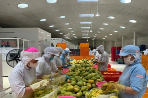 Đột phá để môi trường đầu tư của Việt Nam vào nhóm dẫn đầu ASEAN