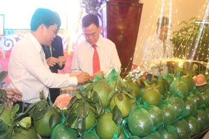 Đặc sản dừa xiêm xanh, bưởi da xanh có chỉ dẫn địa lý 