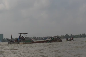 Bến Tre chỉ đạo xử lý nghiêm “cát tặc” sông Cổ Chiên