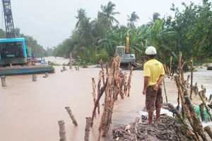 Liên tiếp vỡ đê nhấn chìm cây trái trong biển nước
