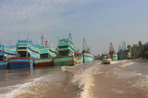 Bão số 9: Bến Tre, Tiền Giang cấm tàu thuyền ra khơi