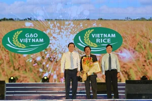 Công bố logo thương hiệu gạo Việt tại Festival lúa gạo lần III