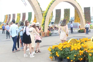 Du khách thích thú với đường hoa xuân tại TP Mỹ Tho