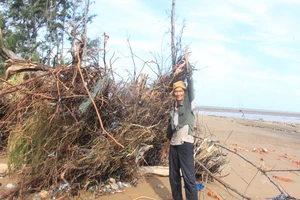 Bến Tre cần 325 tỉ đồng cấp bách chống sạt lở bờ biển