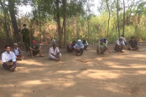 Tiền Giang bắt một tụ điểm đá gà ăn tiền