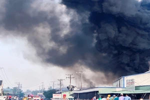 Cháy lớn tại công ty sản xuất bao bì trái cây ở Tiền Giang