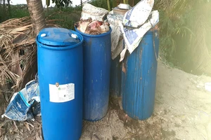 Điều tra số cá koi nửa tỉ đồng chết bất thường