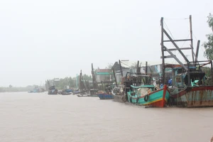 3 chủ tàu cá bị phạt 2,5 tỉ đồng 