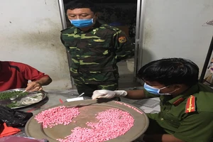 Bắt 2 người tàng trữ hơn 10 kg ma túy ở biên giới Long An