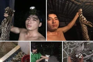 Đã có kết quả xác minh vụ giết mèo rừng ‘khoe’ trên facebook 