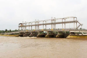 Khép kín các công trình thủy lợi ở Bến Tre