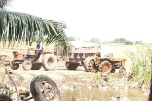 Bến Tre: Đình chỉ 3 vụ khai thác đất sai quy định