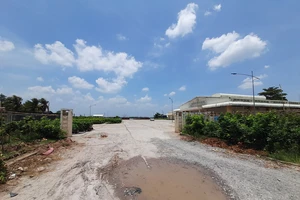 Chợ đầu mối hoành tráng bỏ hoang, tốn 3 triệu/tháng canh giữ